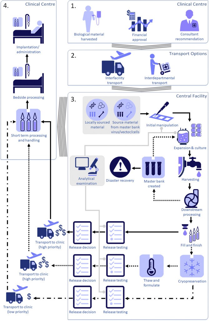 Figure 1 Model process diagram for centralised manufacturing of cell and gene therapy products